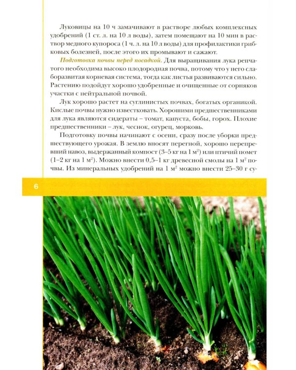 Лук, чеснок, зелень. Посадка. Уход. Защита. Уборка. Хранение