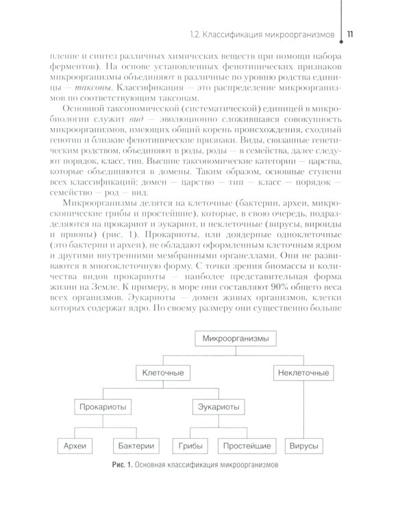 Основы микробиологии и инфекционная безопасность: Учебник