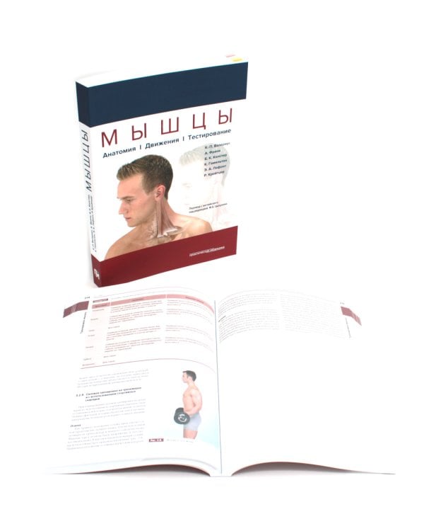 Мышцы. Анатомия. Движения. Тестирование + Мышцы в спорте. Реабилитация (комплект из 2-х книг)