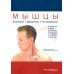 Мышцы. Анатомия. Движения. Тестирование + Мышцы в спорте. Реабилитация (комплект из 2-х книг)