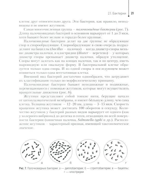 Основы микробиологии и инфекционная безопасность: Учебник
