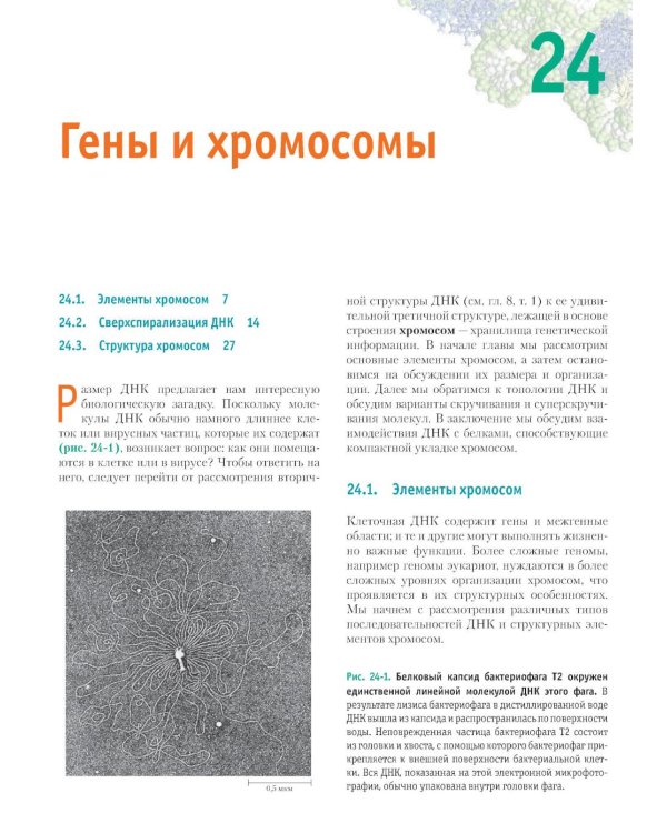 Основы биохимии Ленинджера. В 3 т. Т. 3: Пути передачи информации. 5-е изд., перераб. и доп