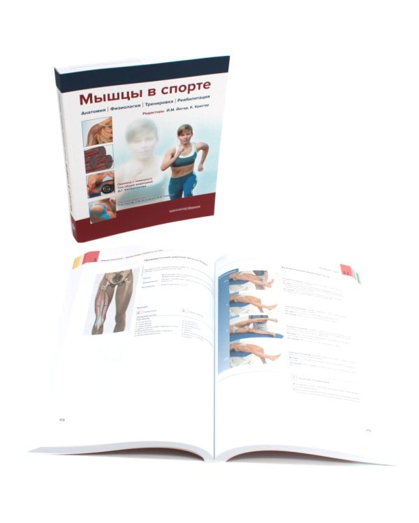 Мышцы. Анатомия. Движения. Тестирование + Мышцы в спорте. Реабилитация (комплект из 2-х книг)
