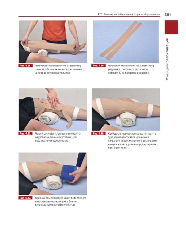 Мышцы. Анатомия. Движения. Тестирование + Мышцы в спорте. Реабилитация (комплект из 2-х книг)