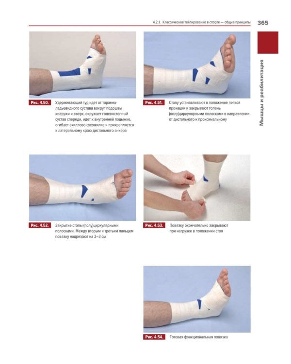 Мышцы. Анатомия. Движения. Тестирование + Мышцы в спорте. Реабилитация (комплект из 2-х книг)