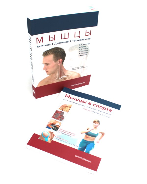 Мышцы. Анатомия. Движения. Тестирование + Мышцы в спорте. Реабилитация (комплект из 2-х книг)