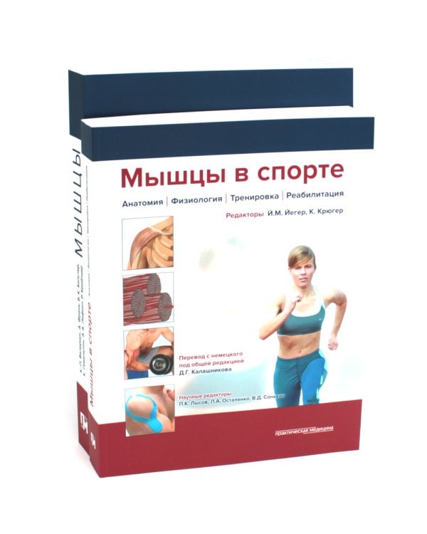Мышцы. Анатомия. Движения. Тестирование + Мышцы в спорте. Реабилитация (комплект из 2-х книг)