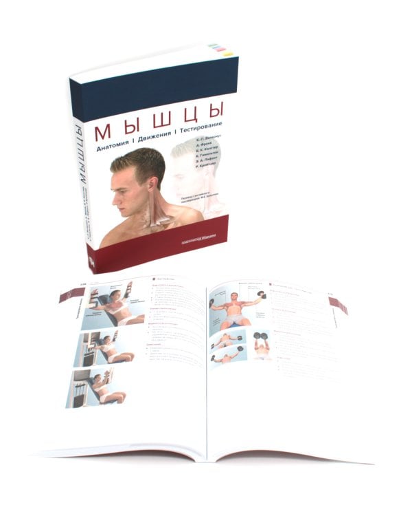 Мышцы. Анатомия. Движения. Тестирование + Мышцы в спорте. Реабилитация (комплект из 2-х книг)