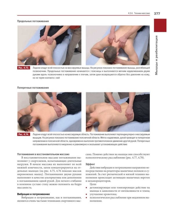 Мышцы. Анатомия. Движения. Тестирование + Мышцы в спорте. Реабилитация (комплект из 2-х книг)