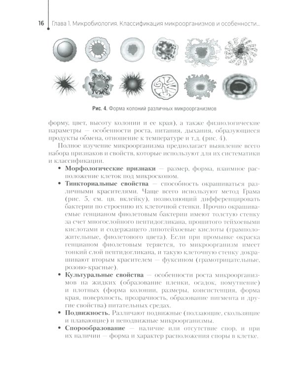 Основы микробиологии и инфекционная безопасность: Учебник