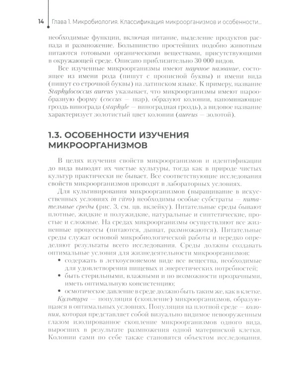 Основы микробиологии и инфекционная безопасность: Учебник