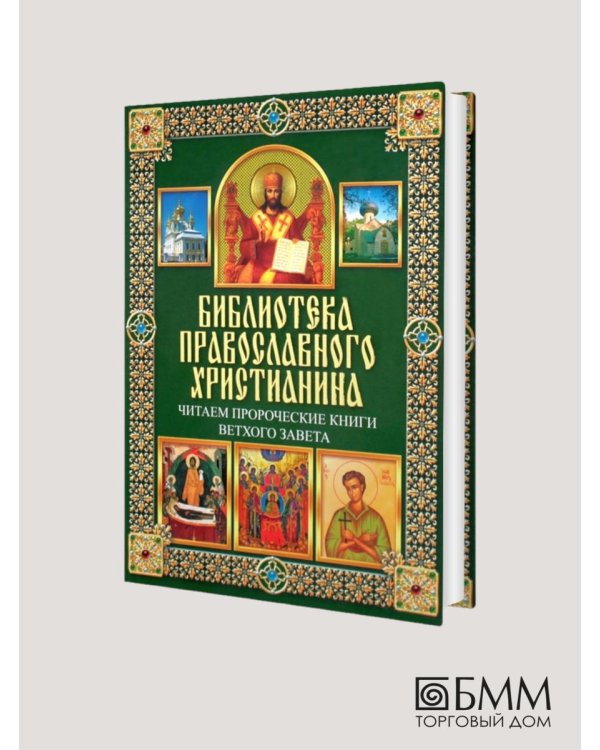 Читаем Пророческие книги Ветхого Завета