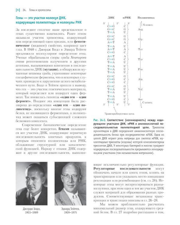Основы биохимии Ленинджера. В 3 т. Т. 3: Пути передачи информации. 5-е изд., перераб. и доп