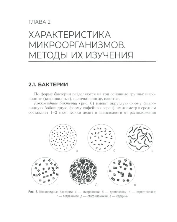 Основы микробиологии и инфекционная безопасность: Учебник
