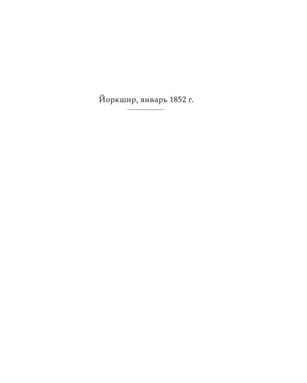 Черные перья: роман