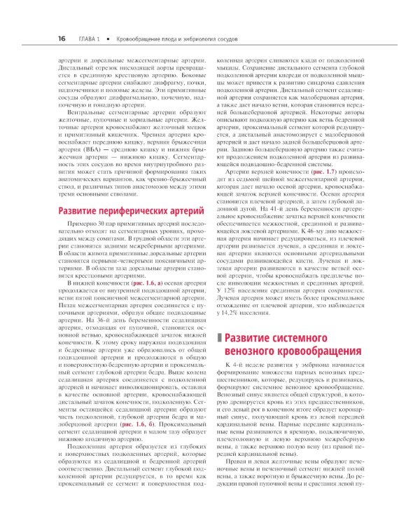 Атлас сосудистой анатомии Уфлакера. Ангиографический подход