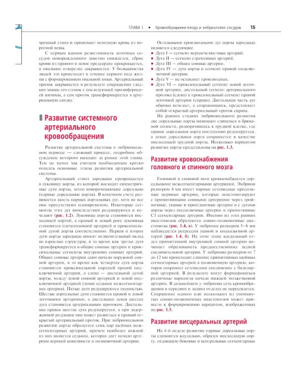 Атлас сосудистой анатомии Уфлакера. Ангиографический подход