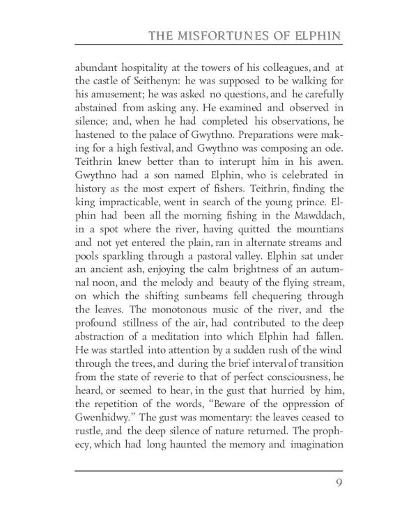 The Misfortunes of Elphin = Несчастья Эльфина: кн. на англ.яз