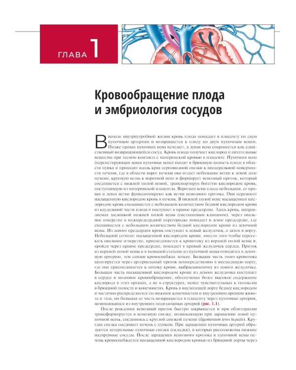 Атлас сосудистой анатомии Уфлакера. Ангиографический подход