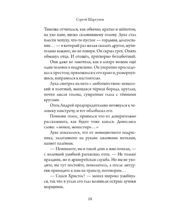 Попович: роман