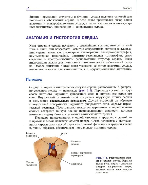 Патофизиология сердечно-сосудистой системы. 5-е изд.,перераб.и доп