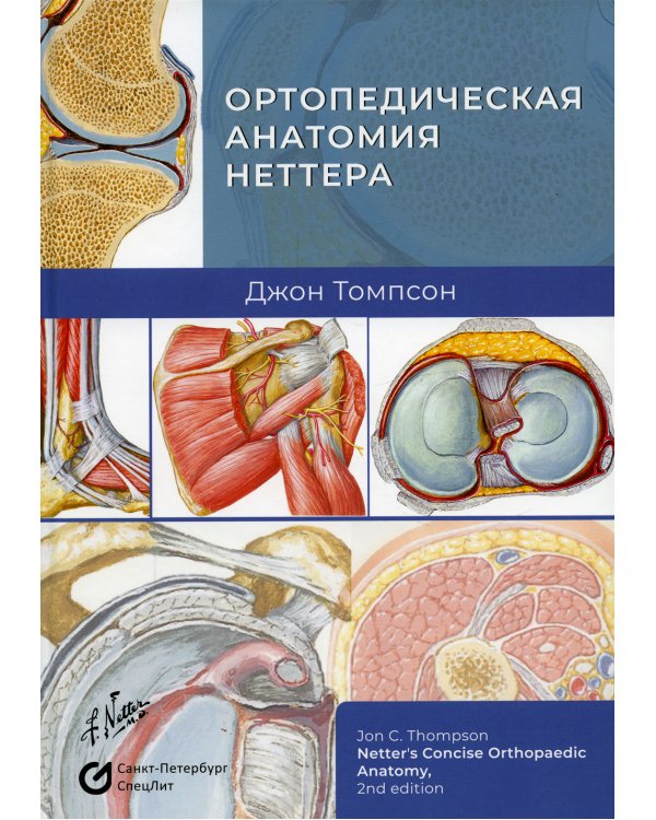 Дополнительное изображение книги «Ортопедическая анатомия Неттера»