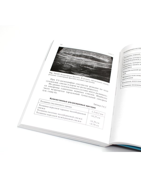 Ультразвуковая диагностика. 4-е изд., перераб