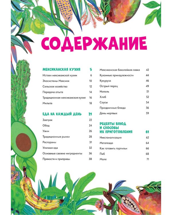 Мексиканская кухня в иллюстрациях