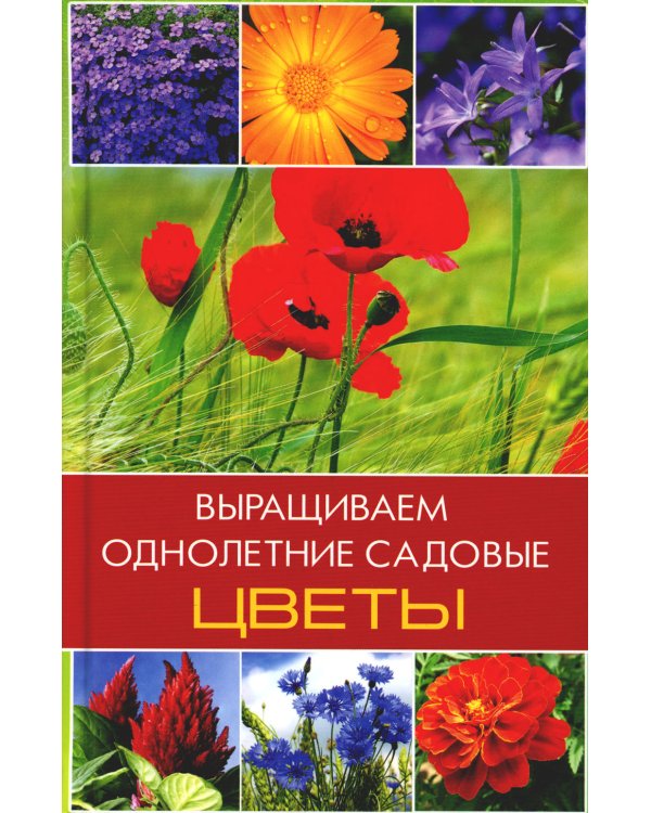 Выращиваем однолетние садовые цветы