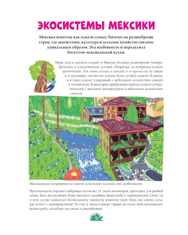 Мексиканская кухня в иллюстрациях