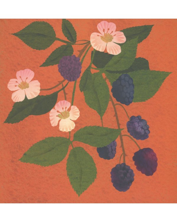 Где твоя малинка?