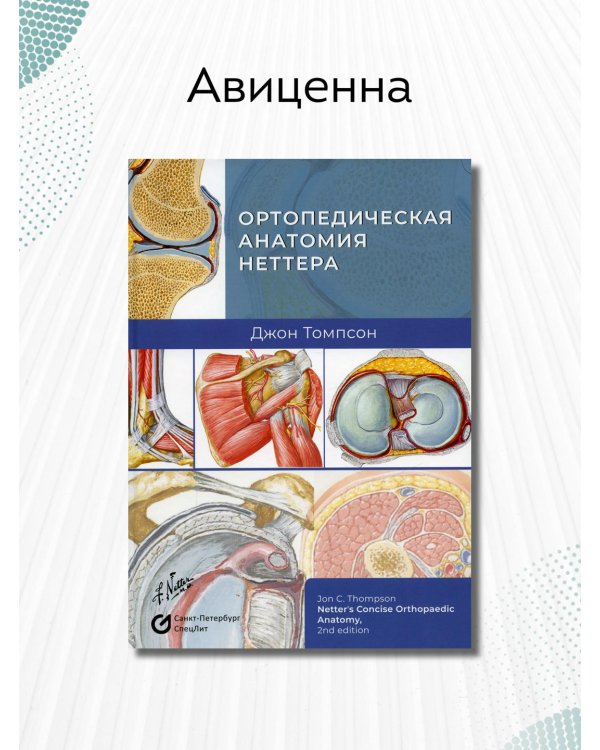Дополнительное изображение книги «Ортопедическая анатомия Неттера»