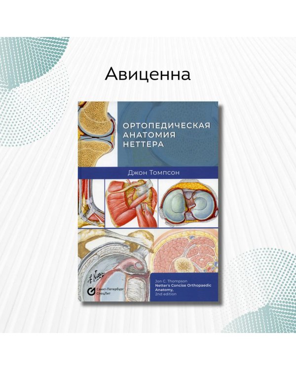 Дополнительное изображение книги «Ортопедическая анатомия Неттера»