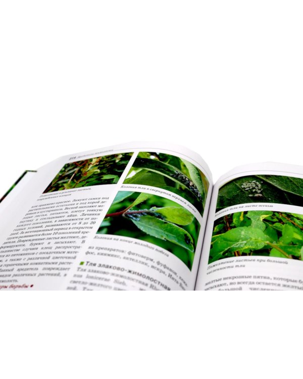 Болезни и вредители плодовых растений; Обрезка плодовых и декоративных деревьев и кустарников (комплект из 2-х книг)