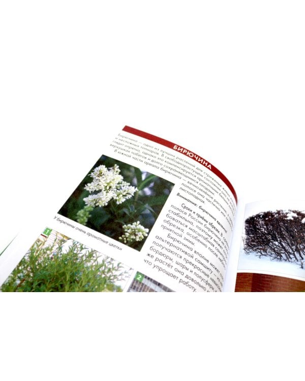 Болезни и вредители плодовых растений; Обрезка плодовых и декоративных деревьев и кустарников (комплект из 2-х книг)