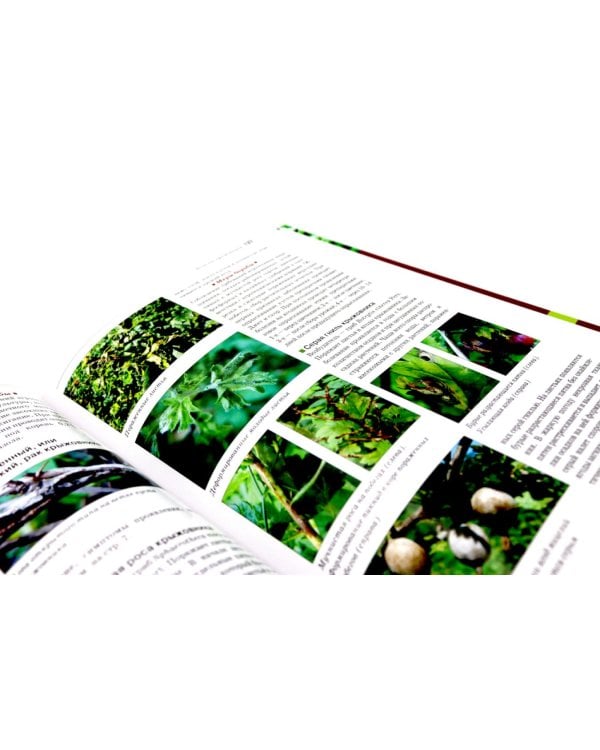 Болезни и вредители плодовых растений; Обрезка плодовых и декоративных деревьев и кустарников (комплект из 2-х книг)