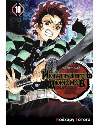 Истребитель демонов. Т. 10: Человек и демон: манга