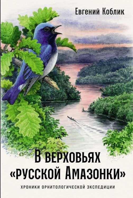 В верховьях «русской Амазонки»: Хроники орнитологической экспедиции