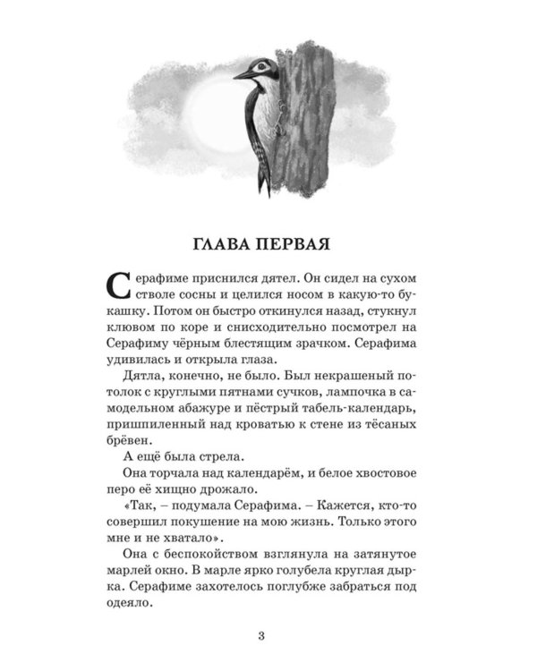 Оруженосец Кашка: повесть