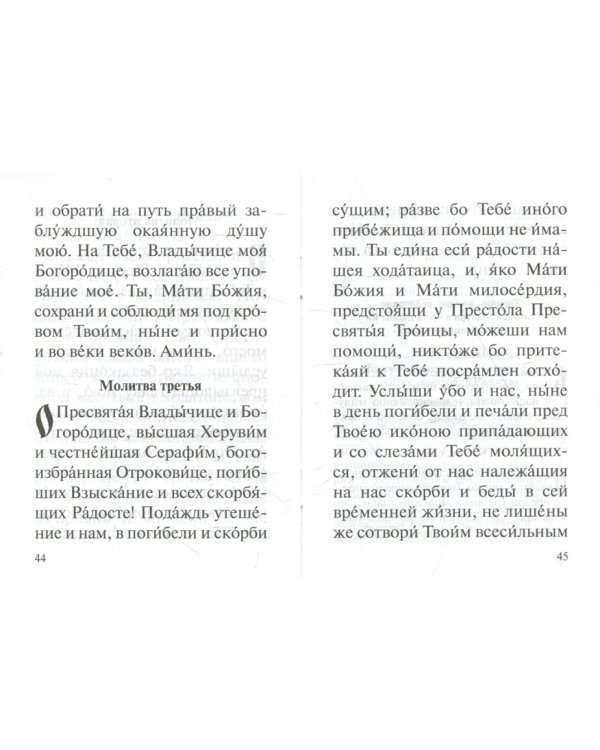 Дополнительное изображение книги «Акафист Пресвятей Богородице в честь иконы Ея "Взыскание погибших" и Всех скорбящих Радость"»