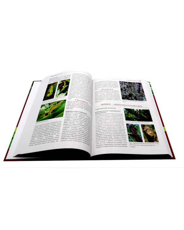 Болезни и вредители плодовых растений; Обрезка плодовых и декоративных деревьев и кустарников (комплект из 2-х книг)