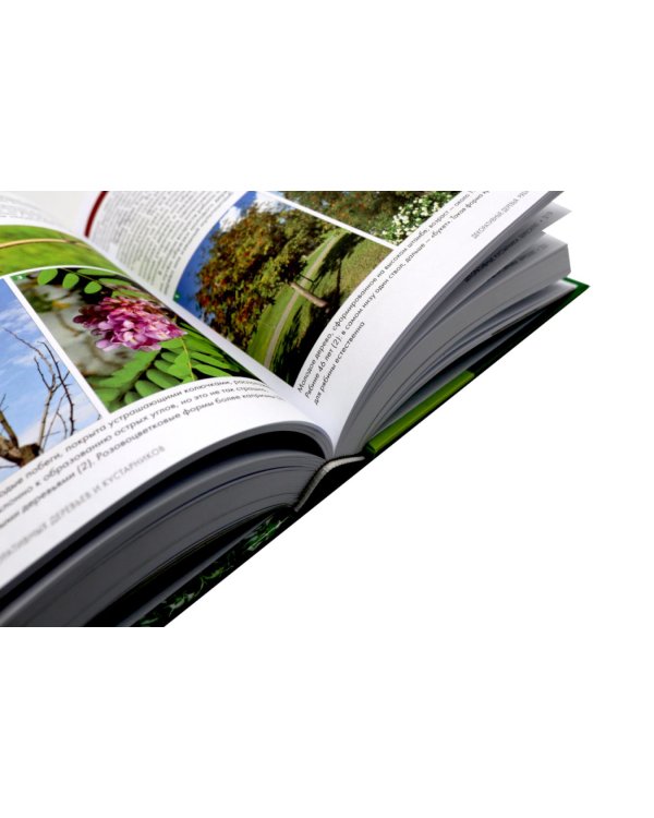 Болезни и вредители плодовых растений; Обрезка плодовых и декоративных деревьев и кустарников (комплект из 2-х книг)