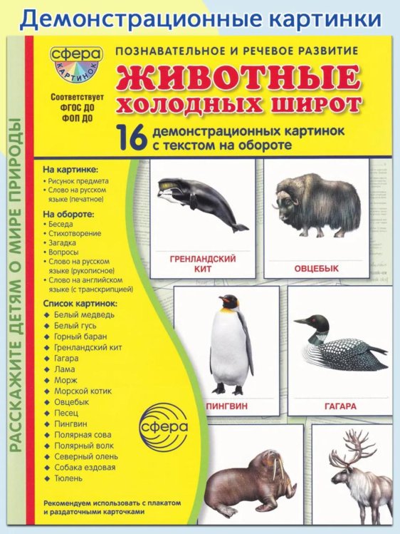 Животные холодных широт. Учебное издание (16 демонстрационных картинок с текстом)