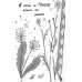 Подкроватье: повесть