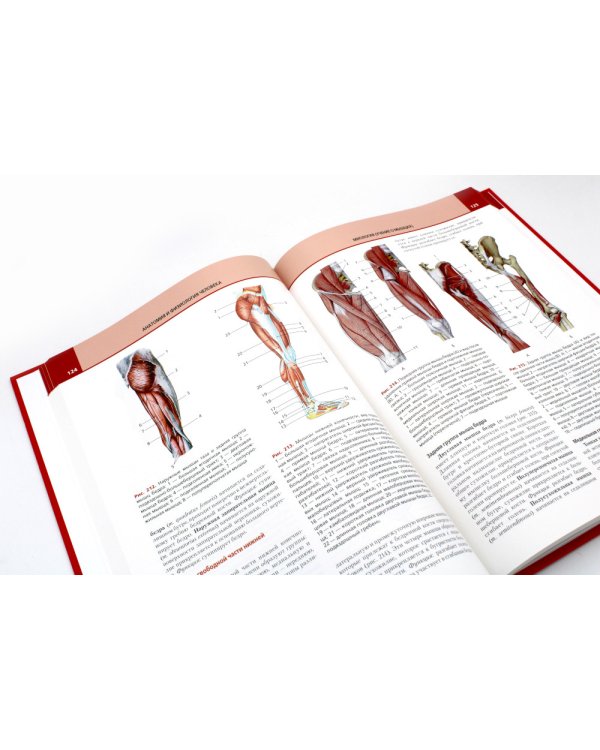 Анатомия и физиология человека: атлас