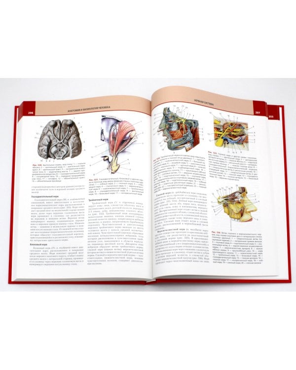 Анатомия и физиология человека: атлас