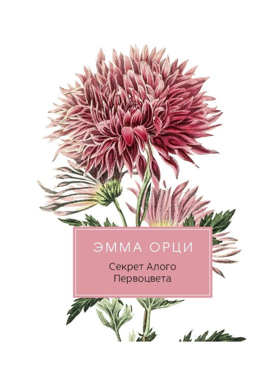 Разум и чувства Секрет Алого Первоцвета