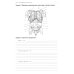 Анатомия человека: Спланхнология. Ч. 4. Пищеварительная система: тетрадь-практикум