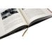 Дополнительное изображение книги «Бринеры. Летопись поколений»