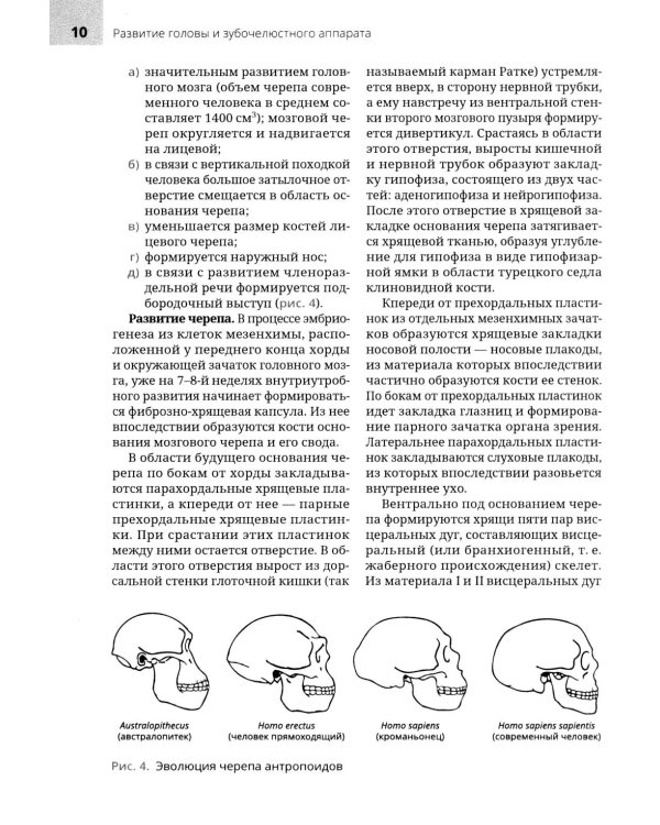 Анатомия головы и зубочелюстного аппарата: Учебное пособие для стоматологов